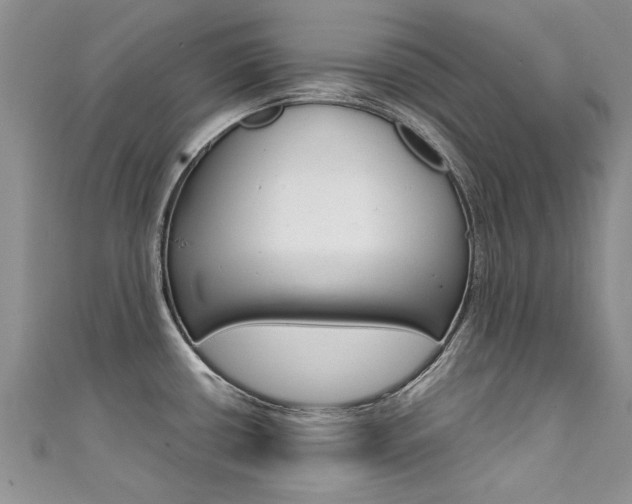 X0000111431434200907131031