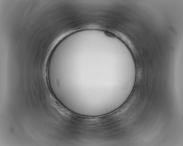 X0000111431435200907131031