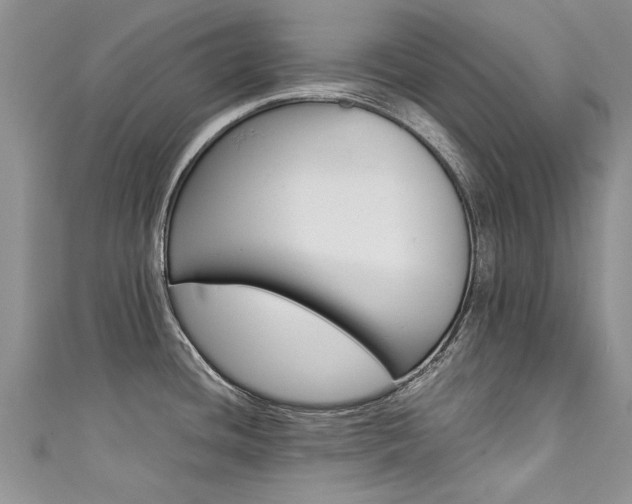 X0000111431436200907131031