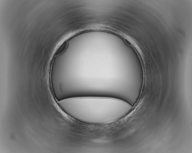 X0000111431437200907131031