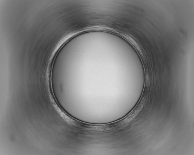 X0000111431438200907131031