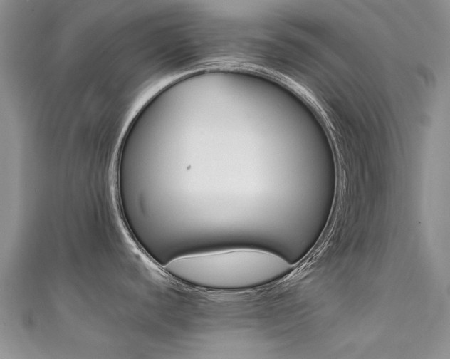 X0000111431440200907131031