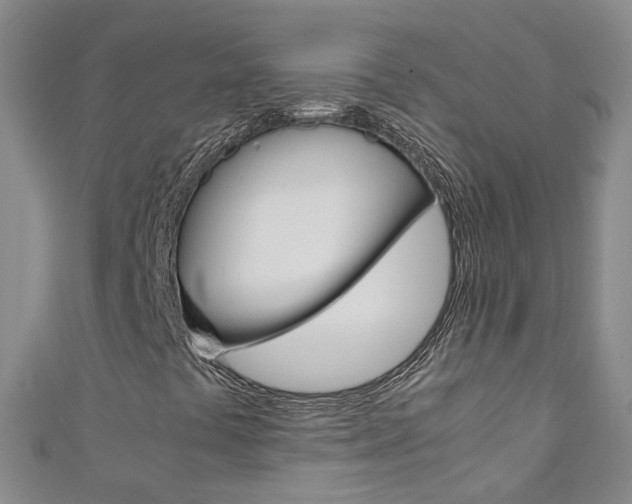 X0000111431441200907131031