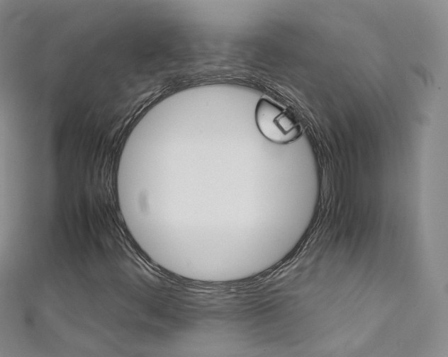 X0000111431444200907131031