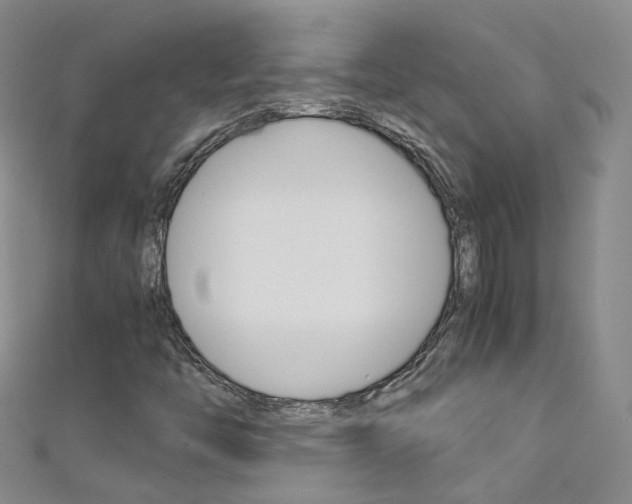X0000111431446200907131031