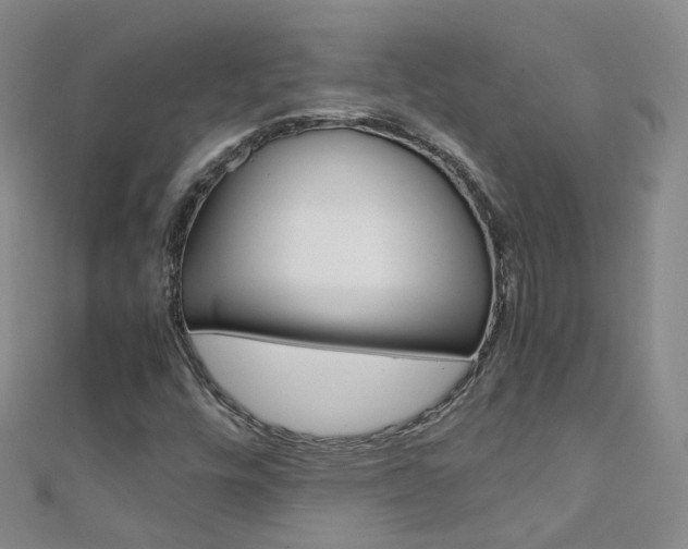 X0000111431448200907131030