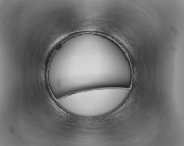 X0000111431452200907131030
