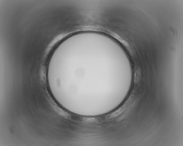 X0000111431454200907131030