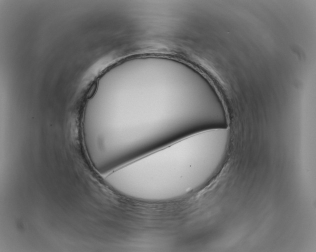 X0000111431455200907131030