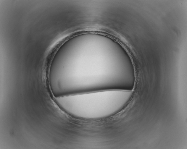 X0000111431456200907131030