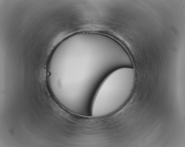 X0000111431459200907131030