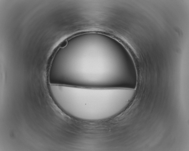 X0000111431460200907131030