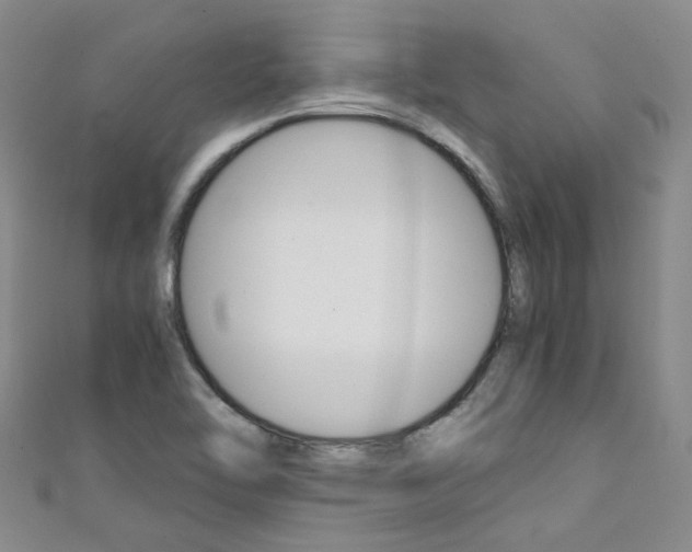 X0000111431462200907131030