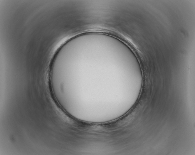 X0000111431463200907131030