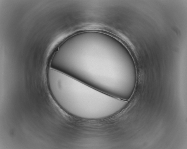 X0000111431464200907131030