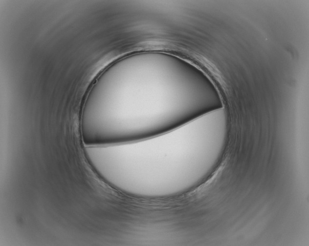 X0000111431465200907131030