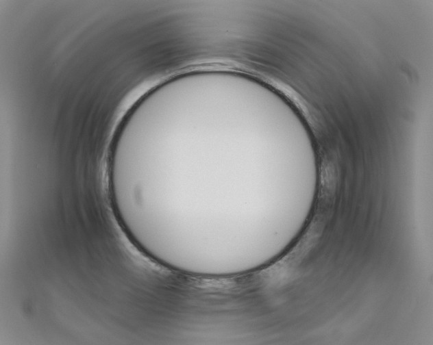 X0000111431466200907131030