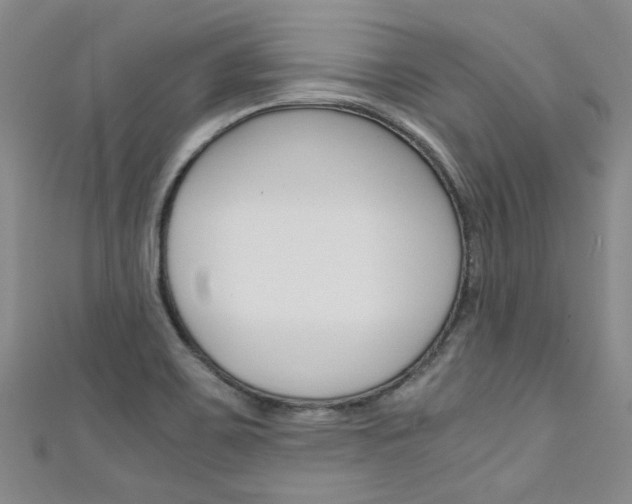 X0000111431467200907131030