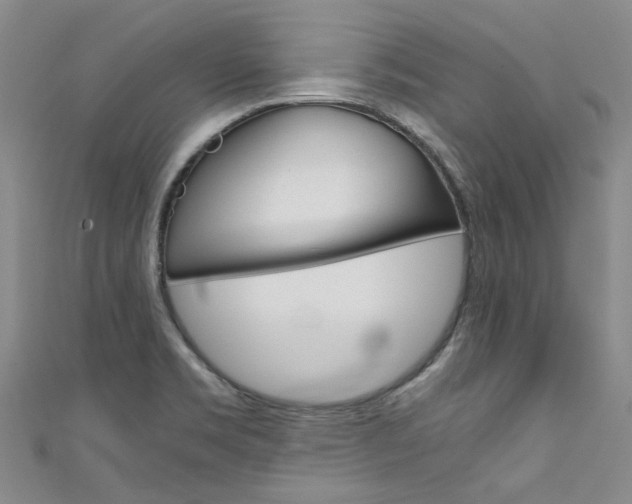 X0000111431469200907131030