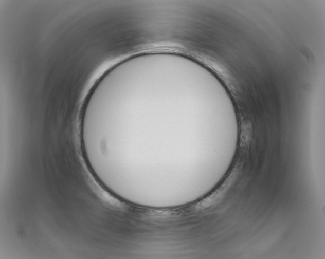 X0000111431470200907131030