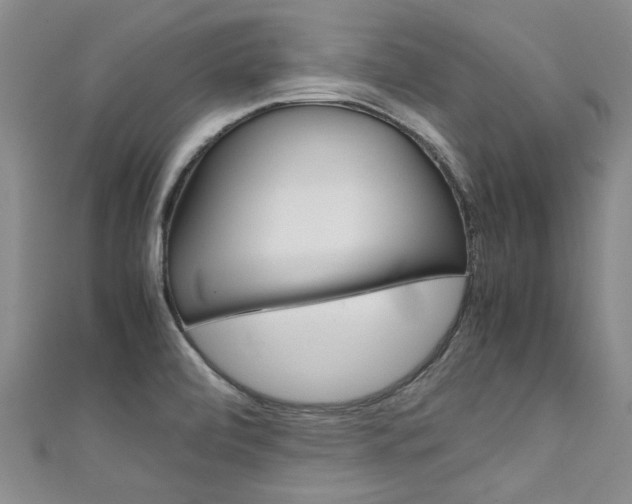X0000111431472200907131030