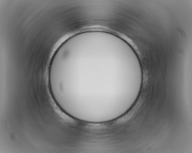 X0000111431474200907131030