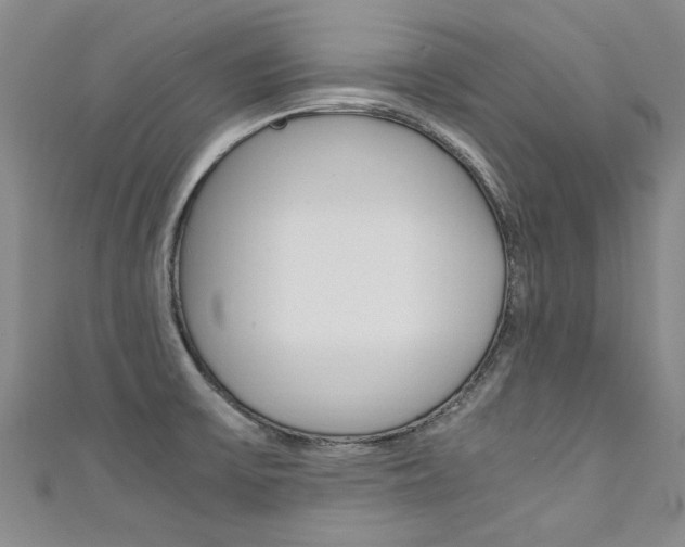 X0000111431475200907131030