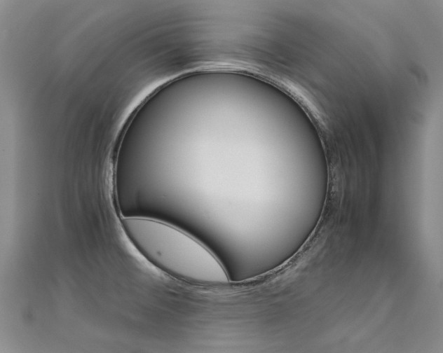 X0000111431476200907131030