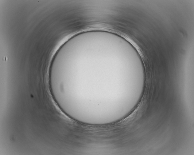 X0000111431477200907131030