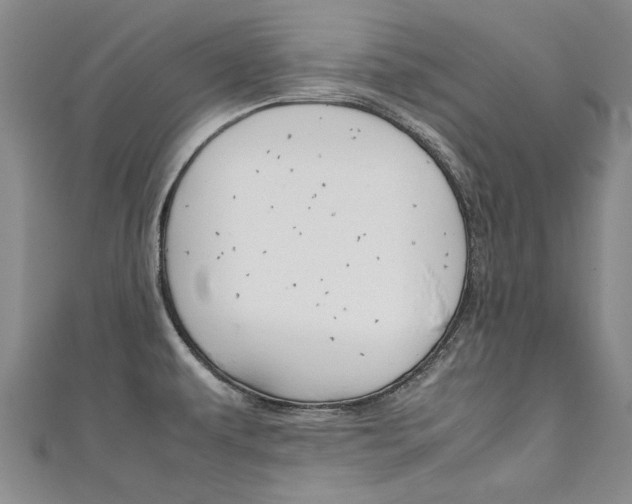 X0000111431479200907131030