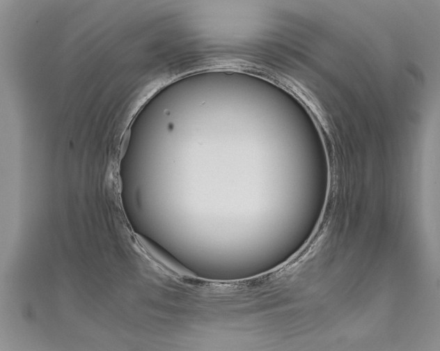 X0000111431481200907131030