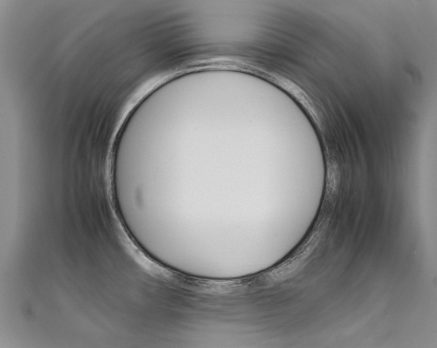 X0000111431482200907131030