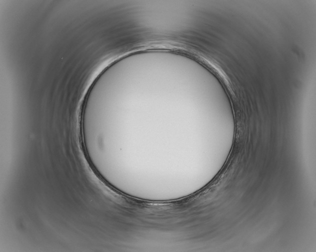 X0000111431483200907131030