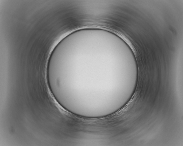 X0000111431485200907131030