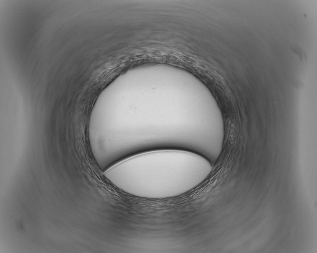 X0000111431489200907131029