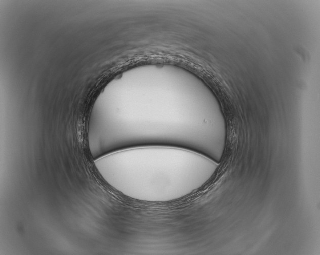 X0000111431490200907131029