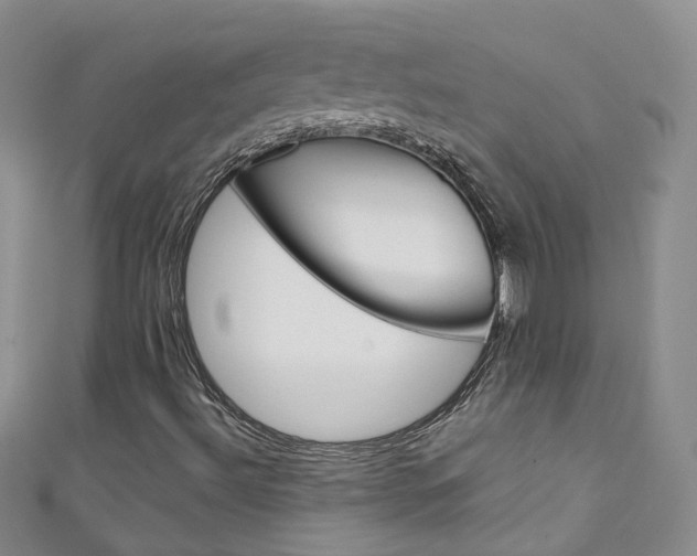 X0000111431492200907131029