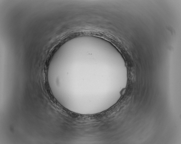 X0000111431493200907131029