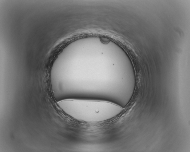 X0000111431494200907131029