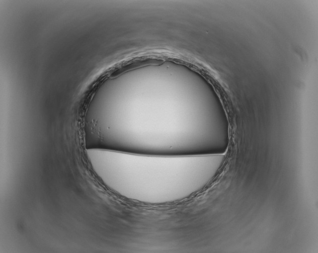 X0000111431496200907131029