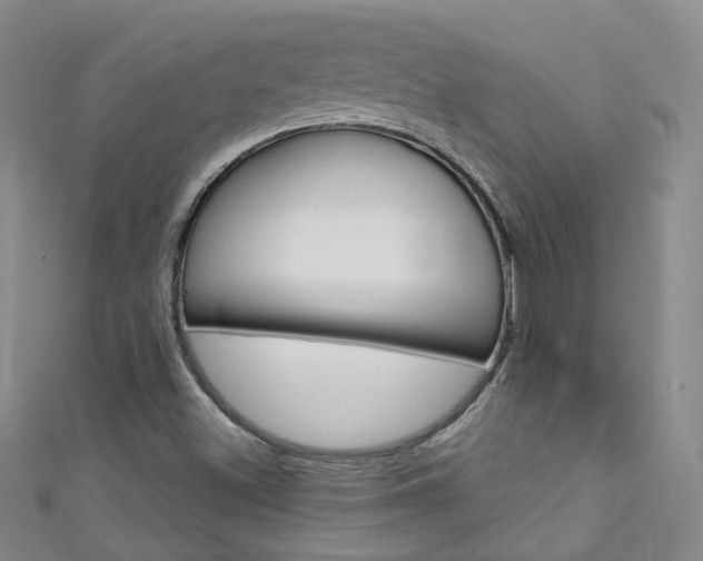 X0000111431500200907131030