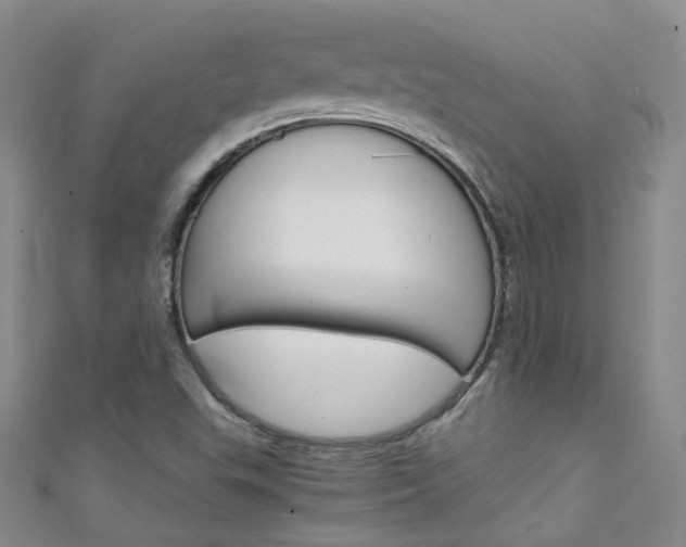 X0000111431503200907131030