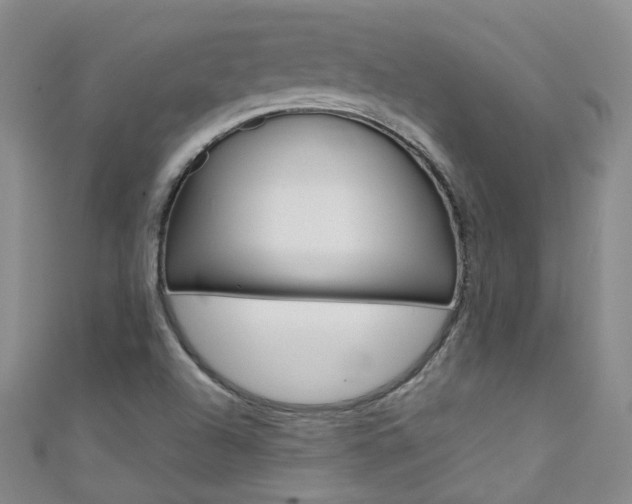 X0000111431504200907131030