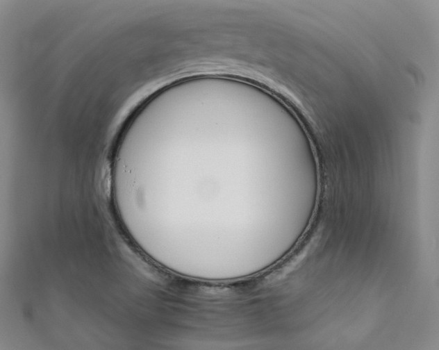 X0000111431509200907131030