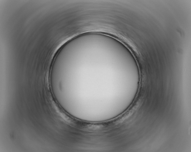 X0000111431513200907131030