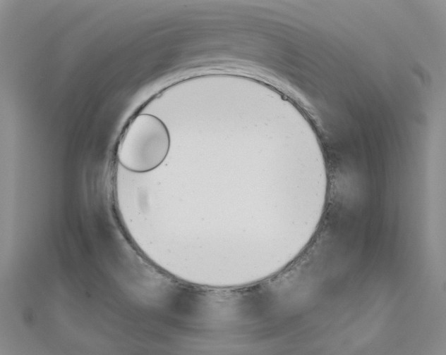 X0000111431514200907131030