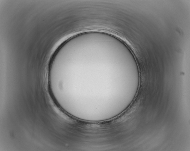 X0000111431515200907131030
