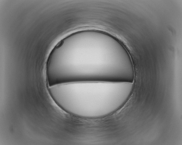 X0000111431516200907131030