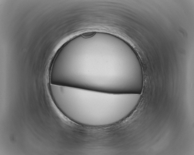 X0000111431523200907131030