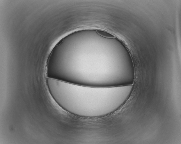 X0000111431524200907131030